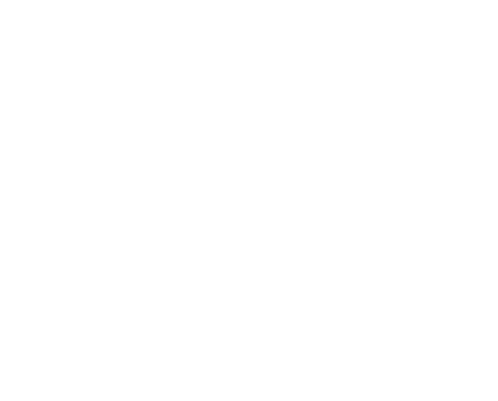 Feenstra Vlees website