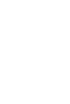 Forte website design