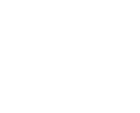 Salttech webdesign